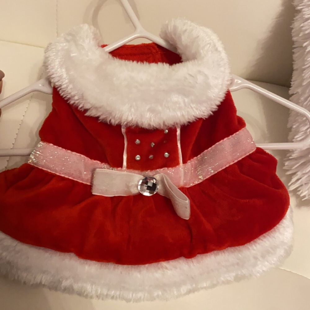 Christmas dog dress XS